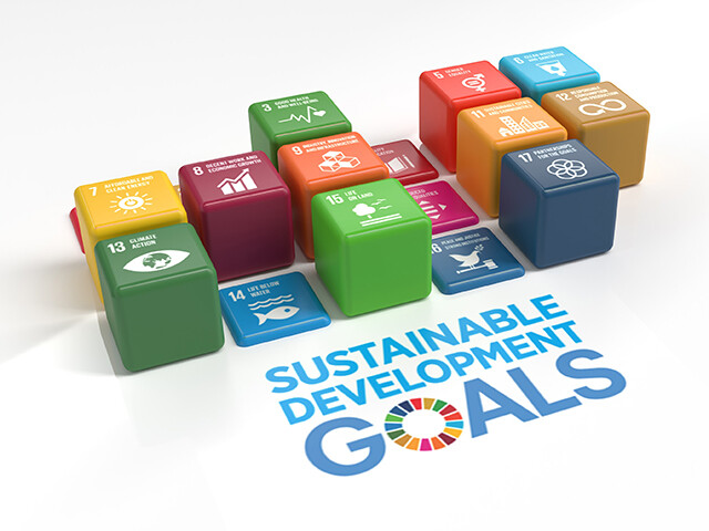 Contribution to Sustainable Development Goals