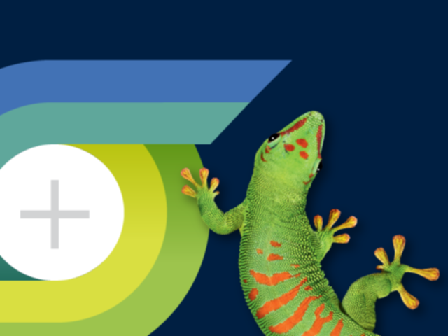 Gecko-with-smarter-value-graphic