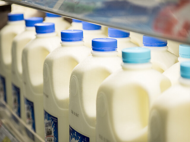 milk jugs on production line having labels applied