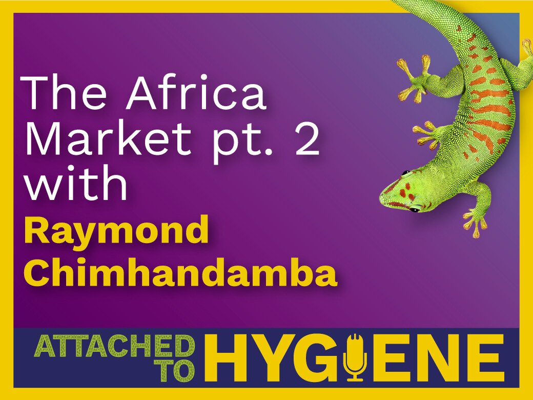 The-Africa-Market-pt-2-with-Raymond-Chimhandamba