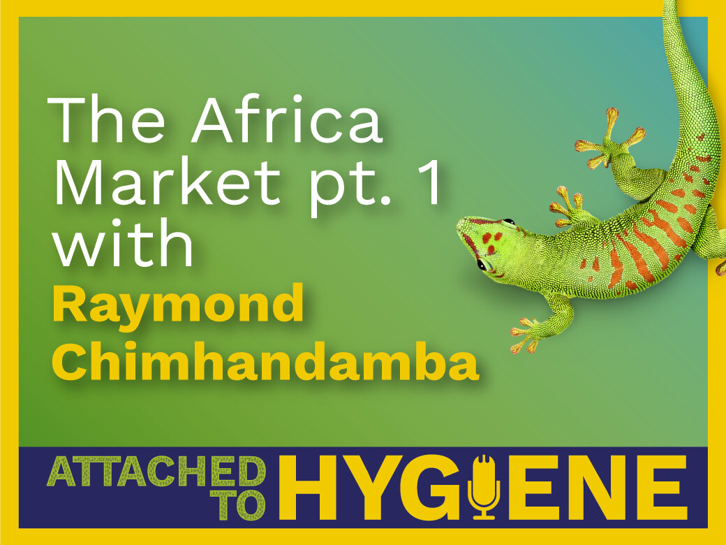 The-Africa-Market-pt-1-with-Raymond-Chimhandamba