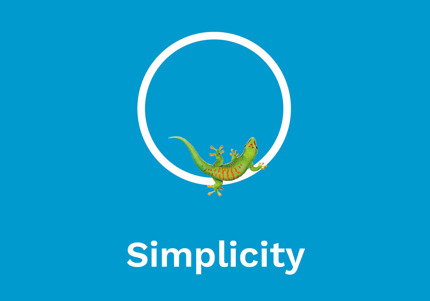 Bostik - Simplicity 