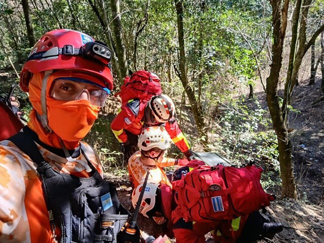 rescue workers in woodland area