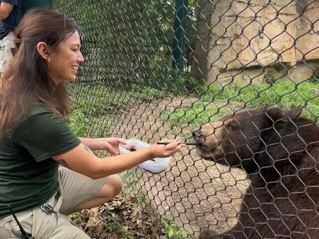 Cecilia playing the piano reading sheet music