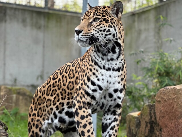 Cecilia leaning over auditorium seats with microphone in hand