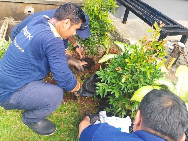 Bostik Tree Planting