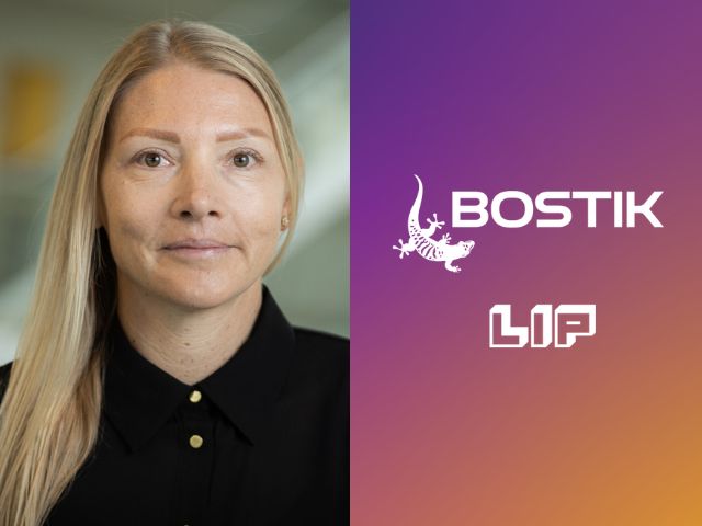 bostik-lip-new-ceo-se-no-640-480.jpg