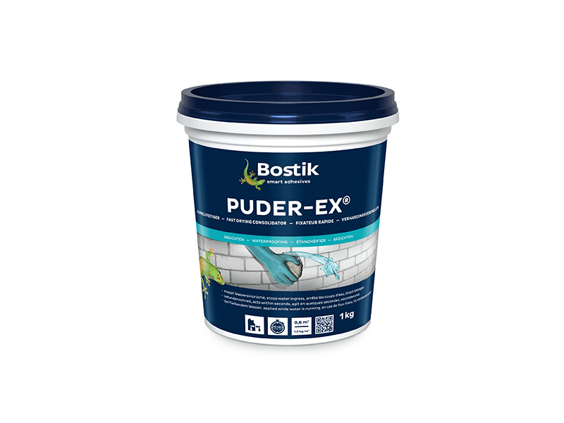 PUDER EX jpg BIG.png