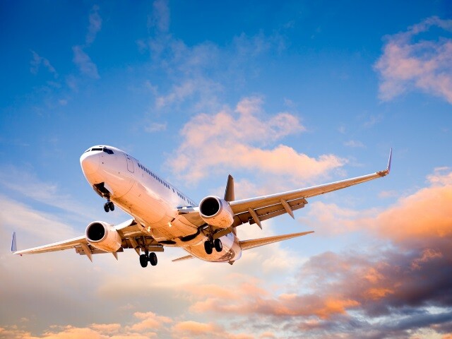 plane adhesive