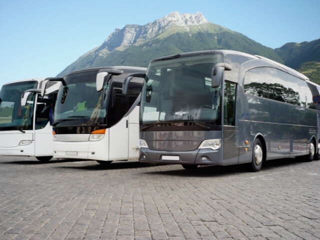 bus and coach adhesives