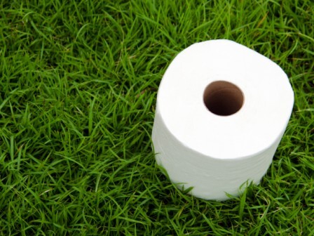 Tissue adhesive