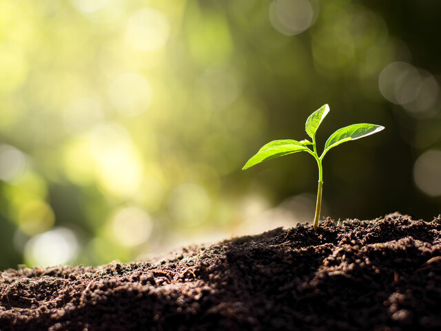 bostik bio based plant