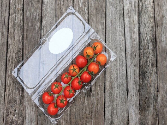 sustainable packaging 
