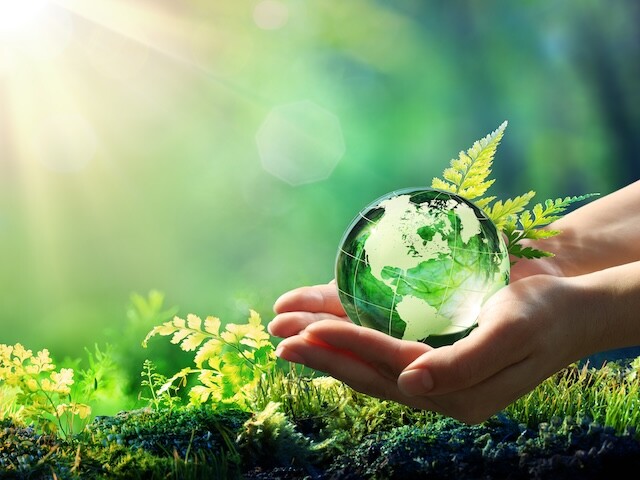 sustainable adhesives