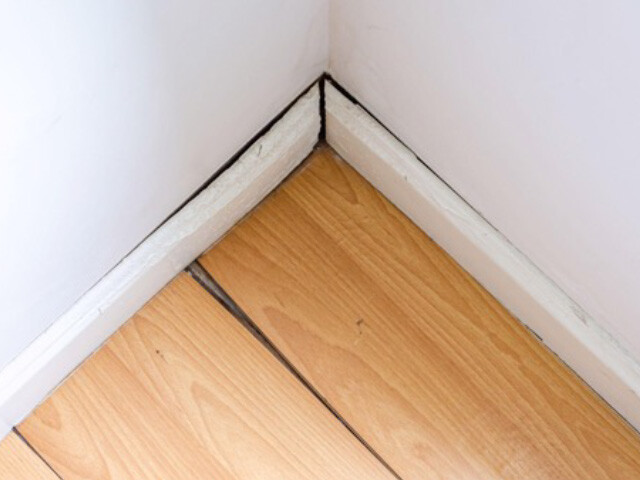 A bird’s eye view of the corner of a room. The light hardwood flooring and white baseboard are deformed from water damage