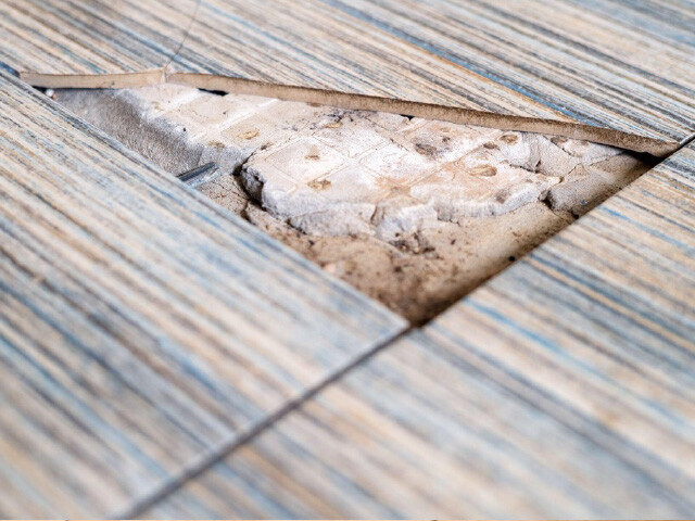 Close up view of the broken corner of a light blue and beige bathroom tile.