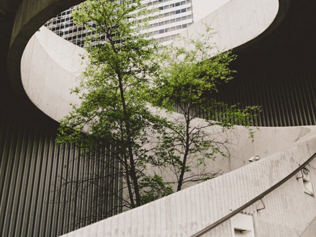 building with patios and plants