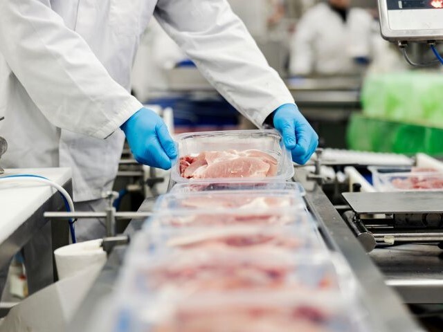 A production line worker wearing a white coat and blue gloves inspects a package of chicken breasts before place it on the conveyor line with other finished packages.