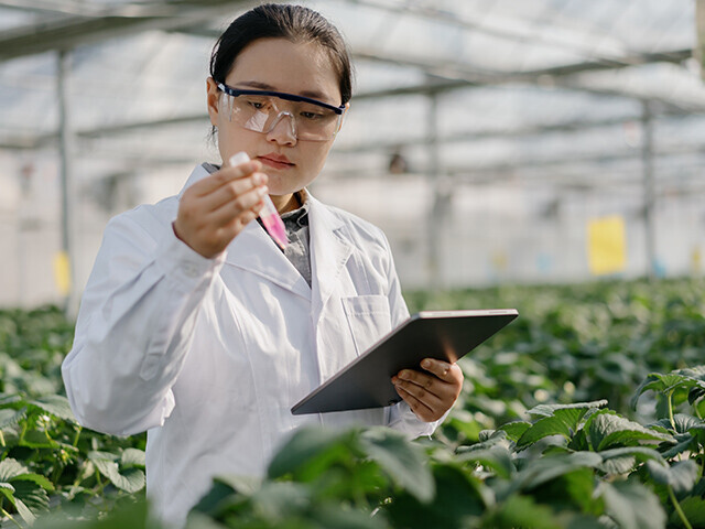 woman in white coat standing in a greenhouse holding a tablet and looking at a tube of pink solution