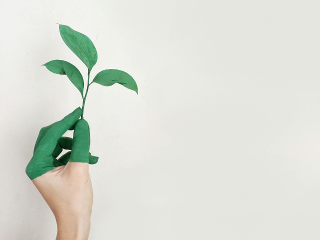 Module 5 : La Réglementation Environnementale et NF DTU 53.12