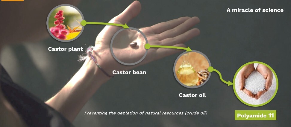 bostik-us-blog-castor-oil.jpg