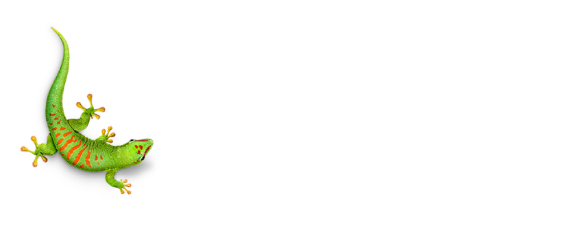 Bostik Logo