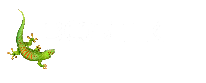 Bostik