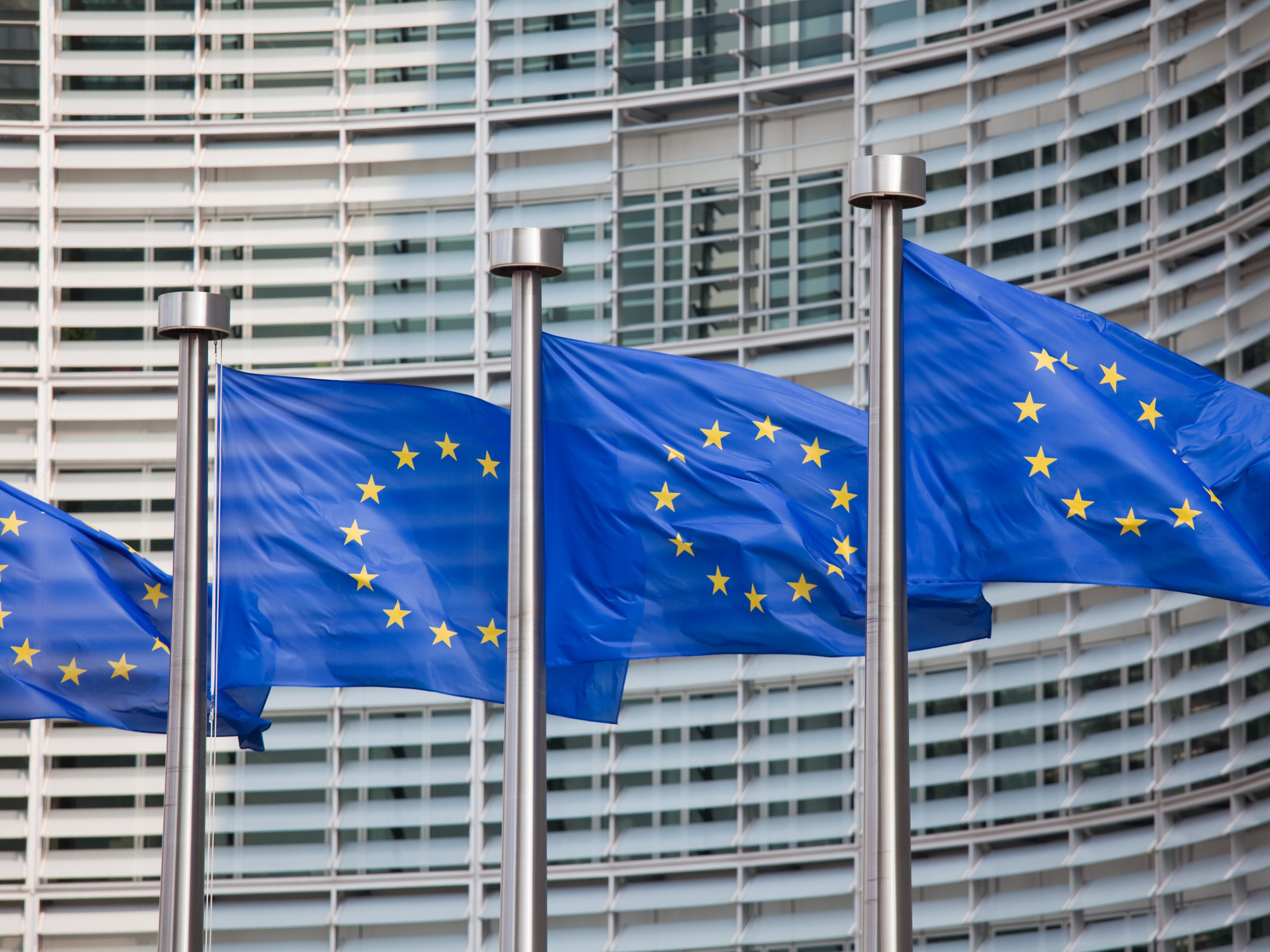 european-union 2.jpg