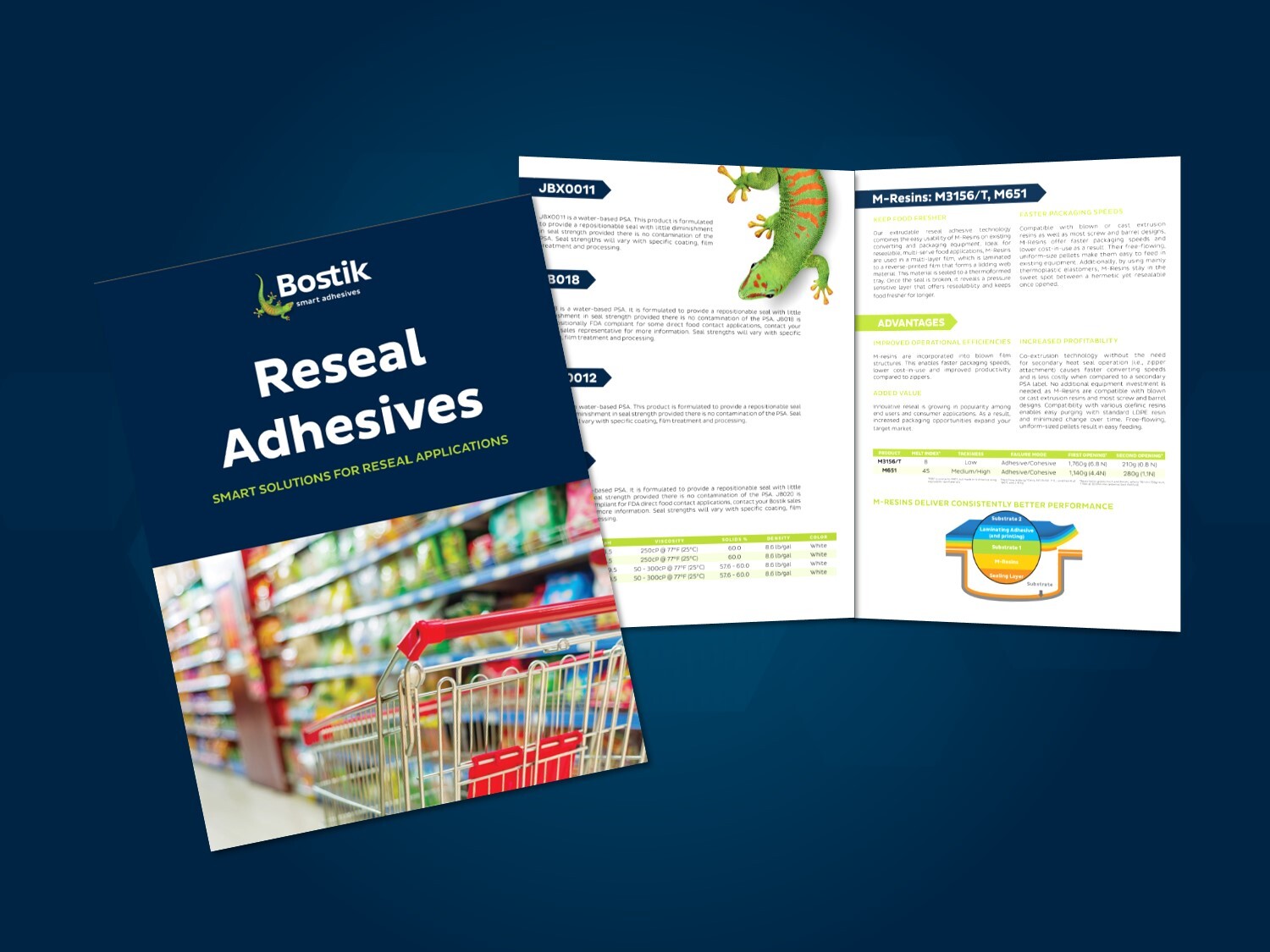 Flexible Packaging Brochure first page